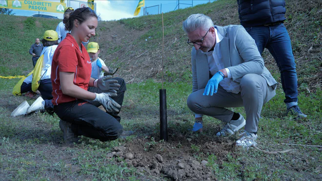 Conad-Forestiamo-Cittadella_1_selez.png